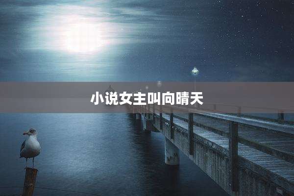 小说女主叫向晴天
