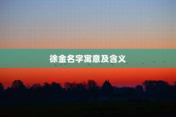 徐金名字寓意及含义