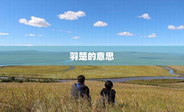 羽楚的意思