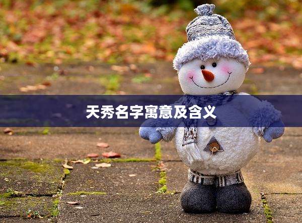 天秀名字寓意及含义