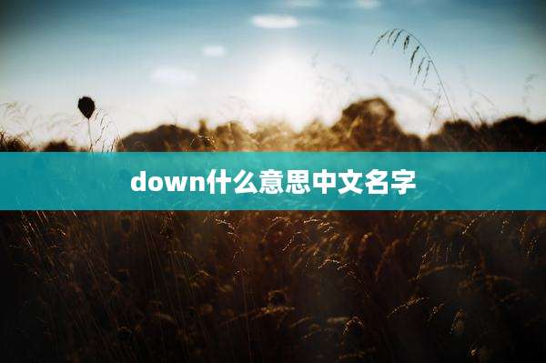 down什么意思中文名字