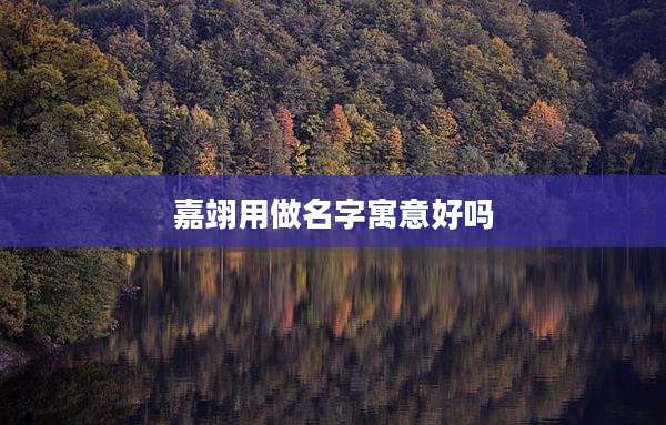 嘉翊用做名字寓意好吗