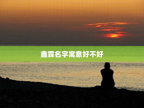 鑫霖名字寓意好不好
