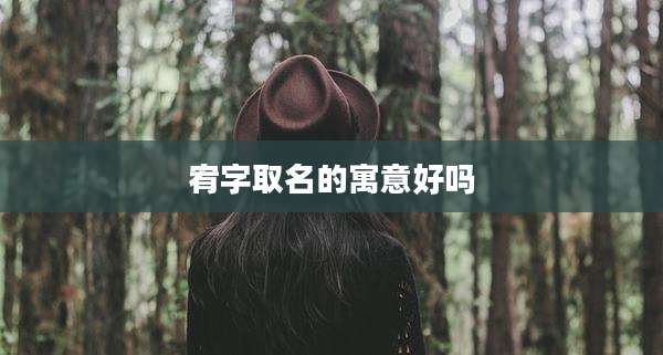 宥字取名的寓意好吗