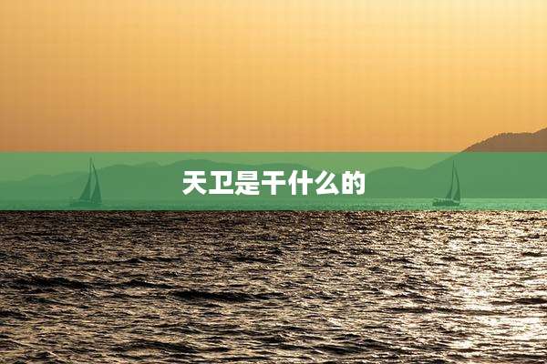 天卫是干什么的