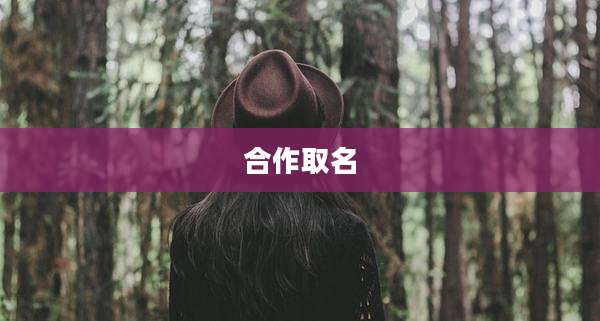 合作取名