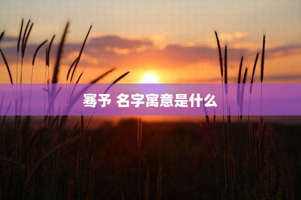 骞予 名字寓意是什么