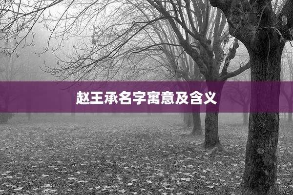 赵王承名字寓意及含义