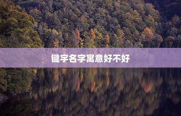 键宇名字寓意好不好