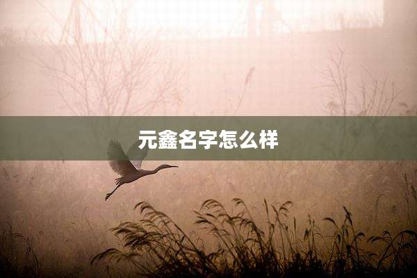 元鑫名字怎么样