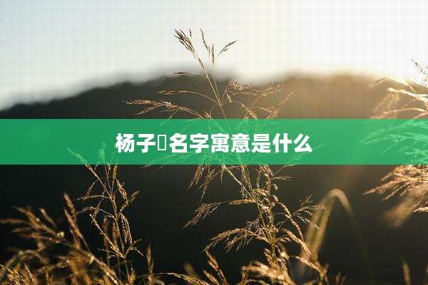 杨子瑀名字寓意是什么