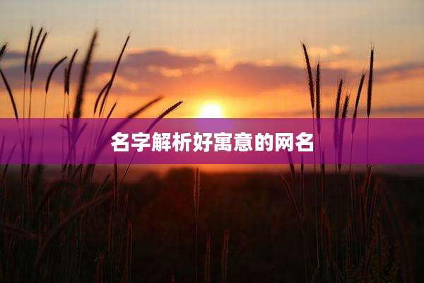 名字解析好寓意的网名