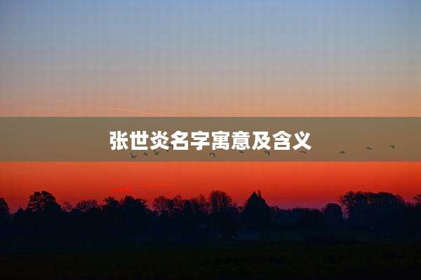 张世炎名字寓意及含义
