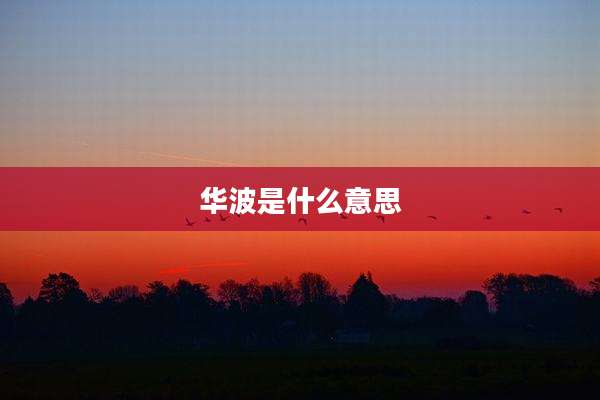 华波是什么意思