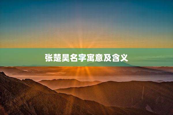 张楚昊名字寓意及含义