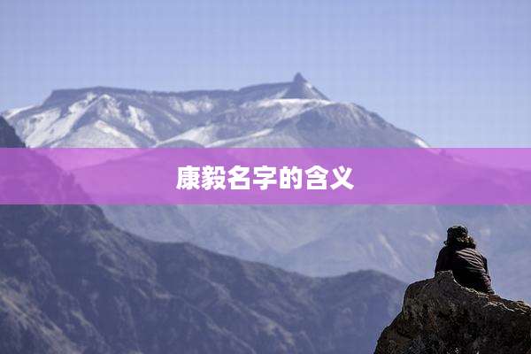 康毅名字的含义