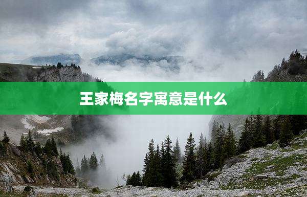 王家梅名字寓意是什么