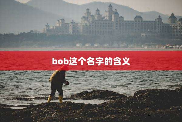 bob这个名字的含义