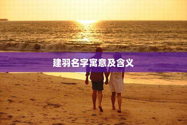 建羽名字寓意及含义