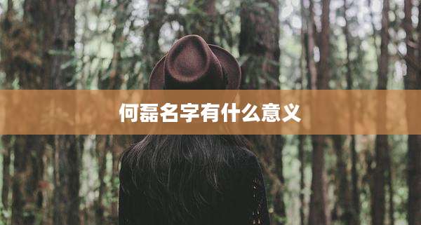 何磊名字有什么意义