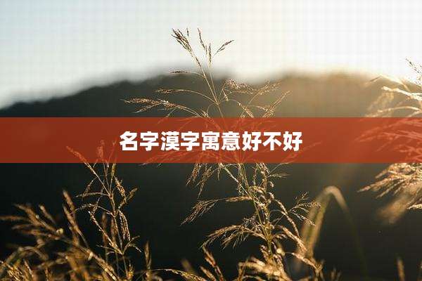 名字漠字寓意好不好