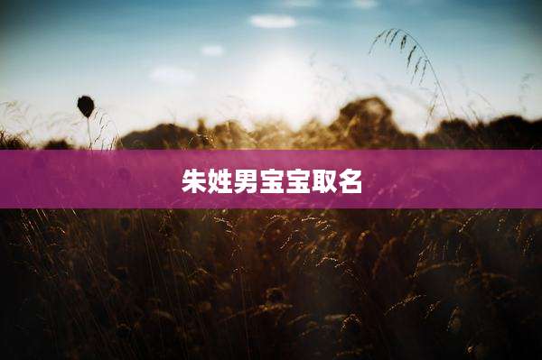 朱姓男宝宝取名