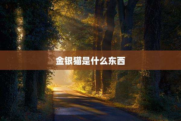 金银猫是什么东西