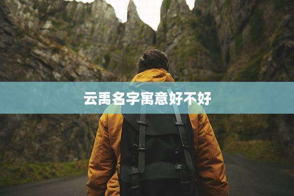 云禹名字寓意好不好