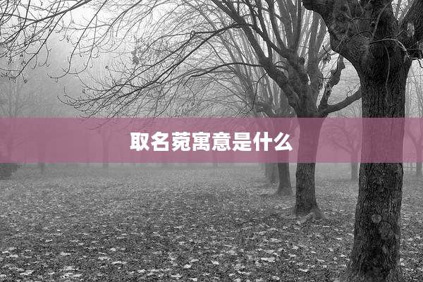 取名菀寓意是什么