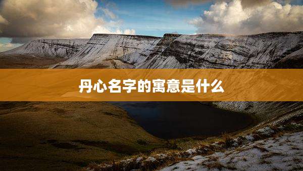 丹心名字的寓意是什么