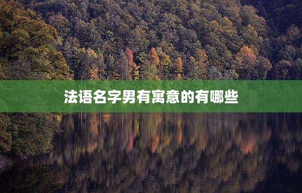 法语名字男有寓意的有哪些