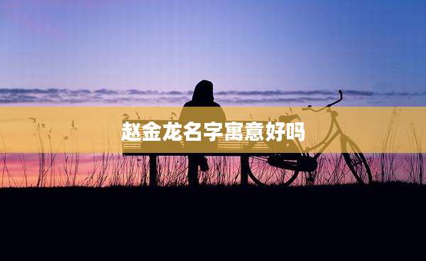赵金龙名字寓意好吗