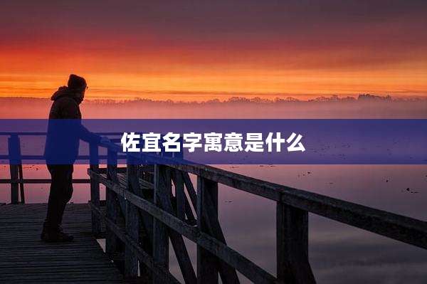 佐宜名字寓意是什么
