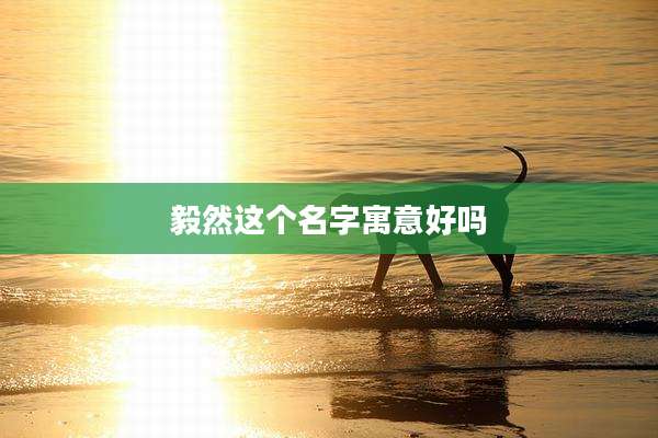 毅然这个名字寓意好吗