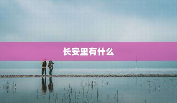 长安里有什么
