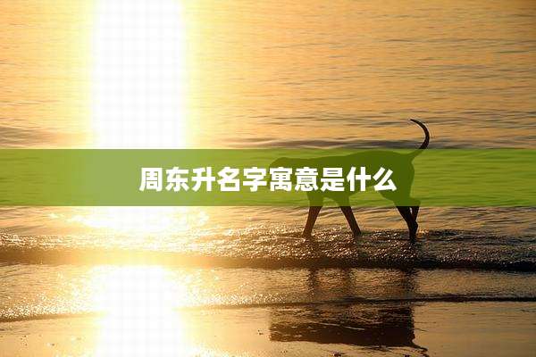 周东升名字寓意是什么