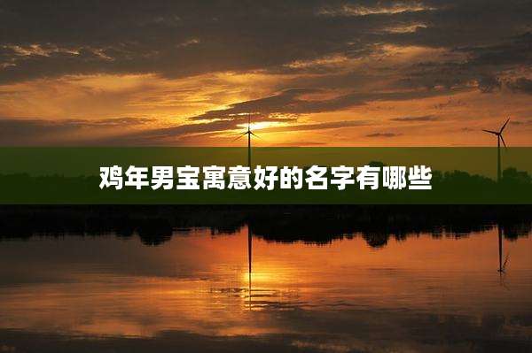鸡年男宝寓意好的名字有哪些