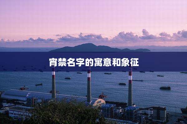 宵禁名字的寓意和象征