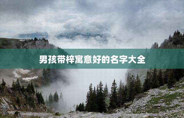 男孩带梓寓意好的名字大全