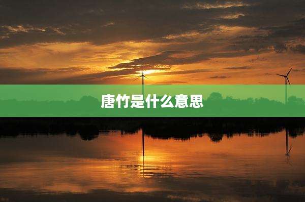 唐竹是什么意思