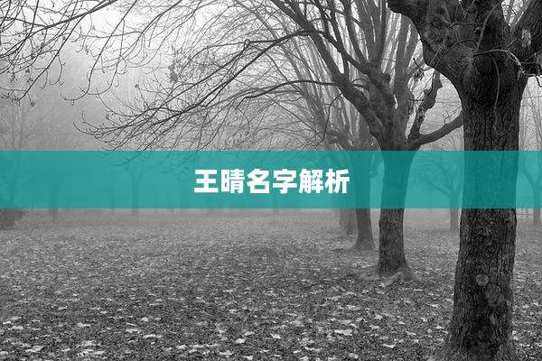 王晴名字解析