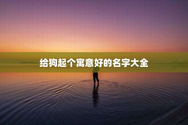 给狗起个寓意好的名字大全