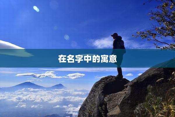 在名字中的寓意