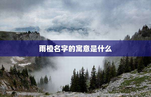 雨橙名字的寓意是什么