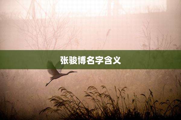 张骏博名字含义