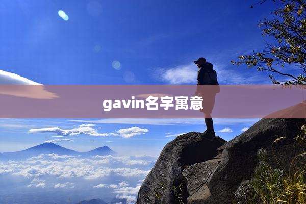 gavin名字寓意