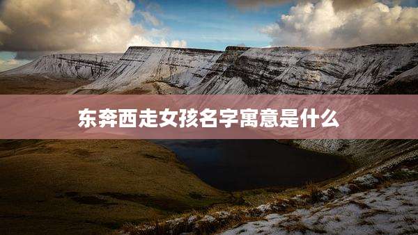 东奔西走女孩名字寓意是什么