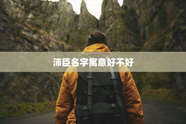 沛臣名字寓意好不好