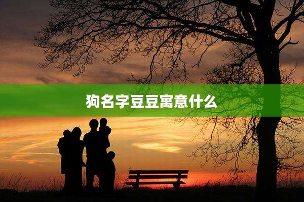 狗名字豆豆寓意什么