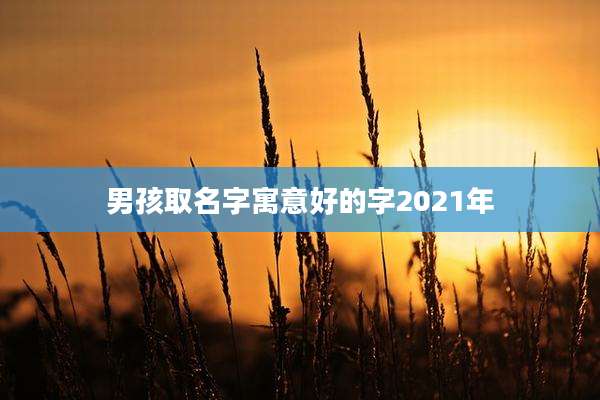 男孩取名字寓意好的字2021年